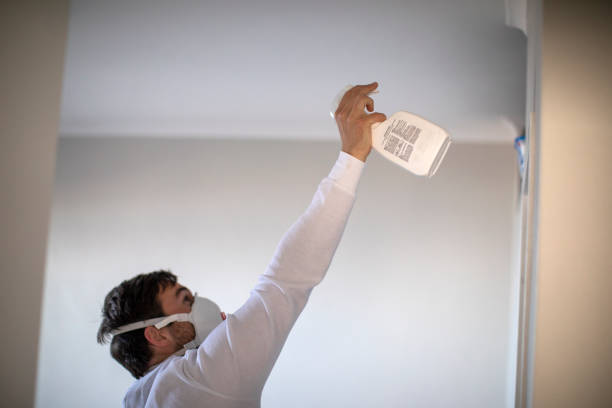 Certified Mold Removal in Sebastopol, CA